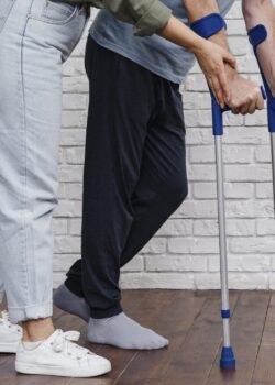 plan-recuperacion-inicial-macho-adulto